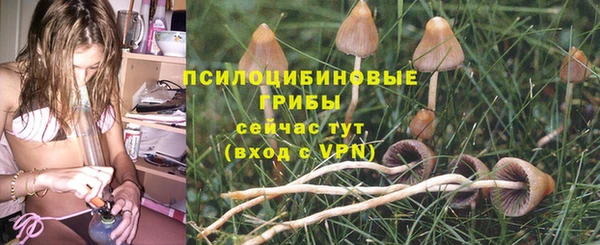 PSILOCYBIN Алексин